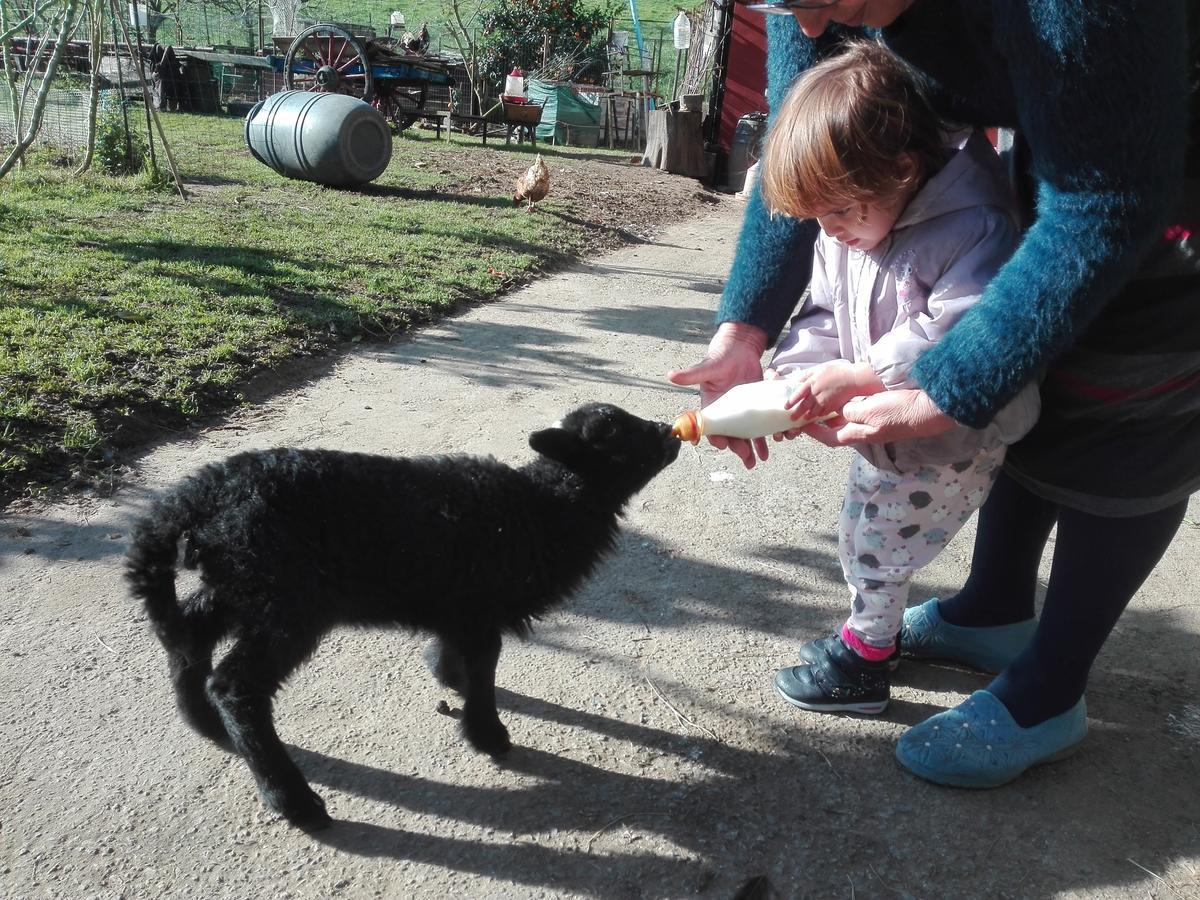 Agroturismo La Casona De Belmonte Ovinana  Eksteriør bilde