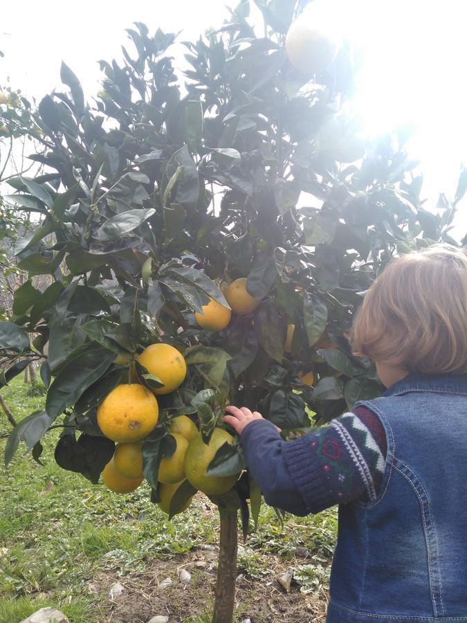 Agroturismo La Casona De Belmonte Ovinana  Eksteriør bilde