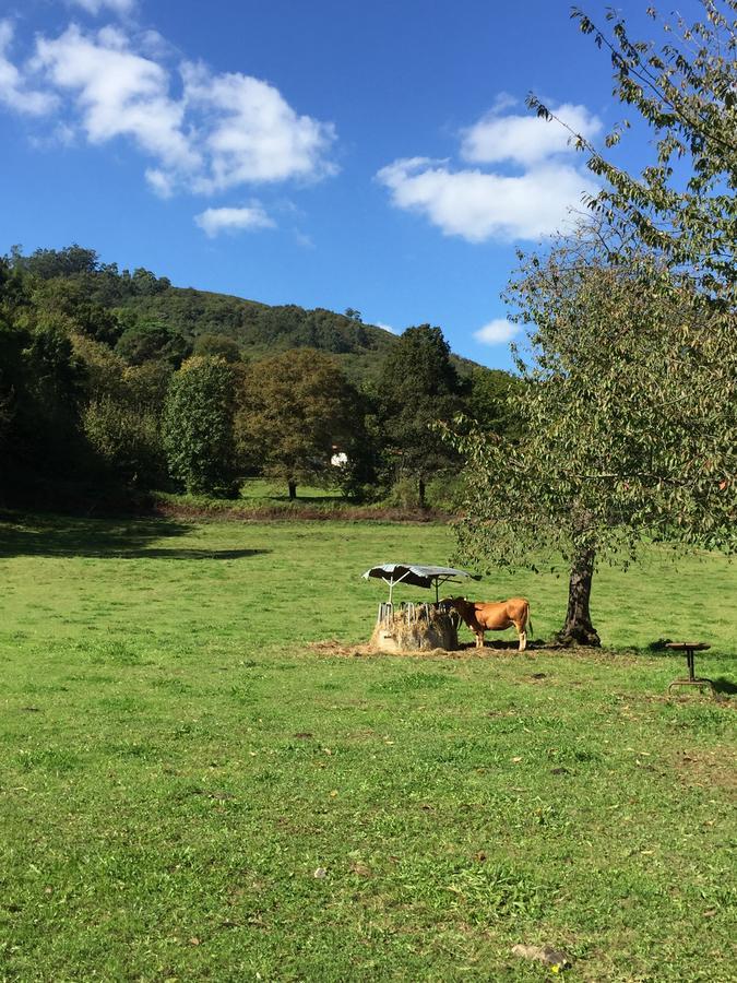 Agroturismo La Casona De Belmonte Ovinana  Eksteriør bilde