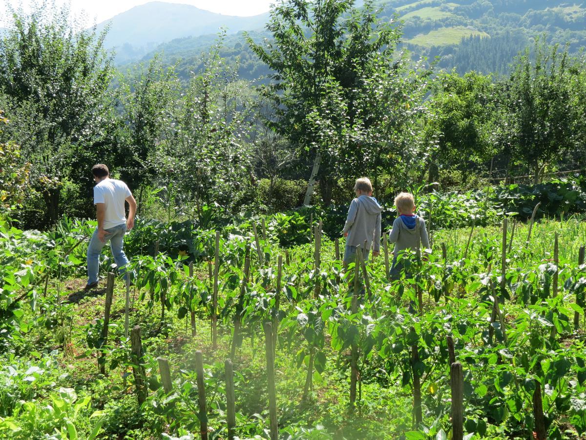 Agroturismo La Casona De Belmonte Ovinana  Eksteriør bilde
